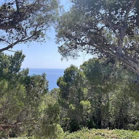 La Quercetta Lägenhet Quercianella