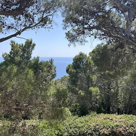 La Quercetta Quercianella