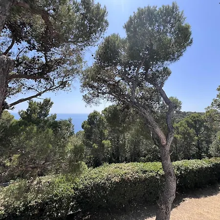 La Quercetta * Quercianella