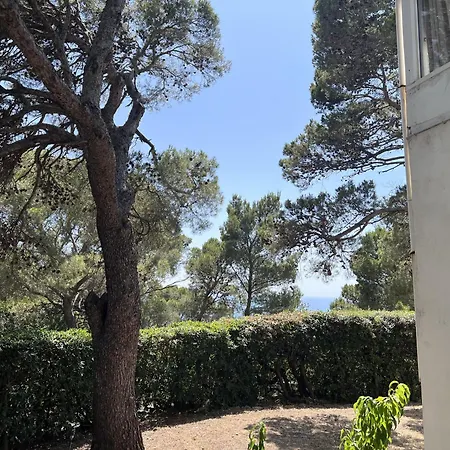 La Quercetta Quercianella