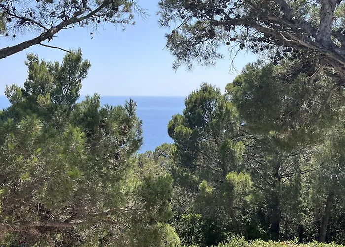 La Quercetta Quercianella