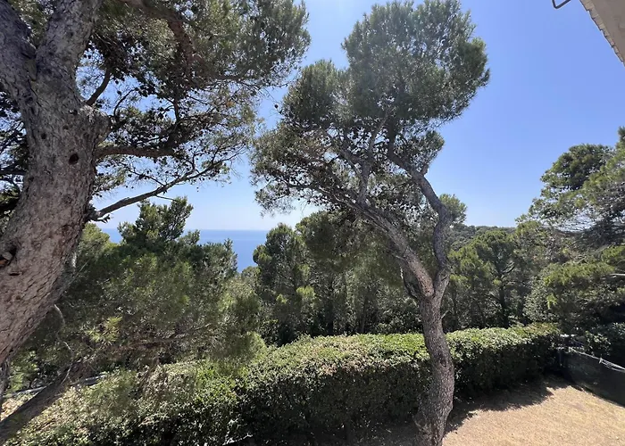 La Quercetta * Quercianella